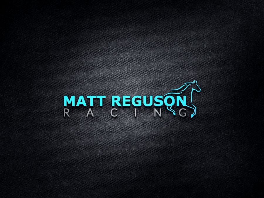 I will do professional and minimal logo within 