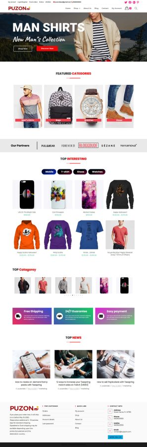 I will clone, copy, design WordPress website using elementor pro