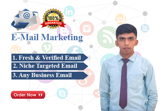 provide targeted niches clean verified email list 