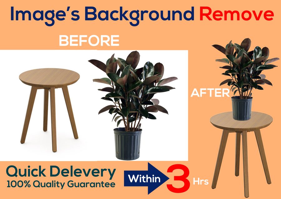 I will remove background from image professionally in 3 hour