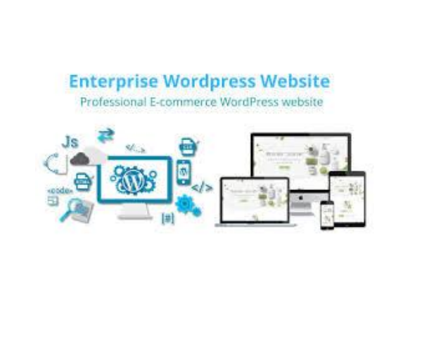 I will create professional wordpress website for your business blog or ecommerce store