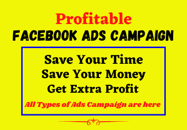 I will run profitable facebook ads campaign