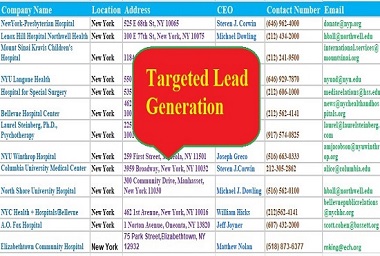 I will do 100 Targeted b2b Lead Generation Linkedin lead