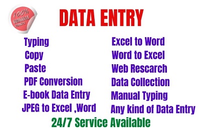 I will do data entry ,web research , excel data entry and copy paste 