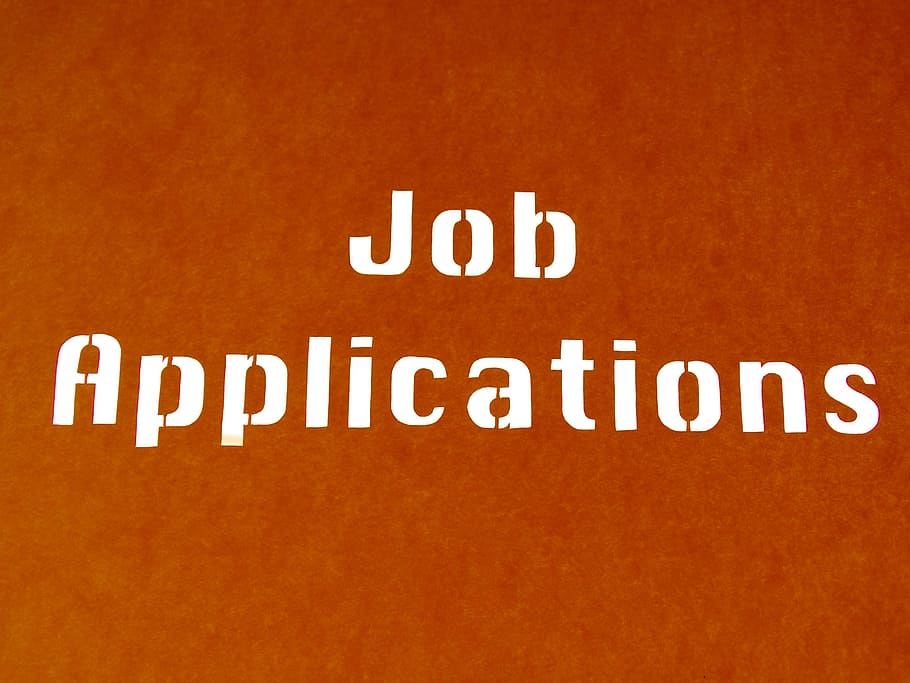  I will write a job application letter