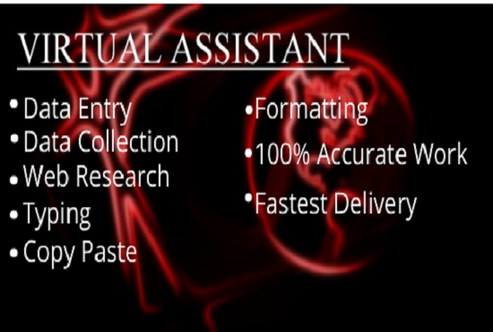 I will do excel data entry, copy paste, typing, web research , data mining