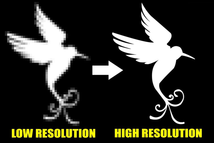 I will do vector trace, any image to vector, logo to vector