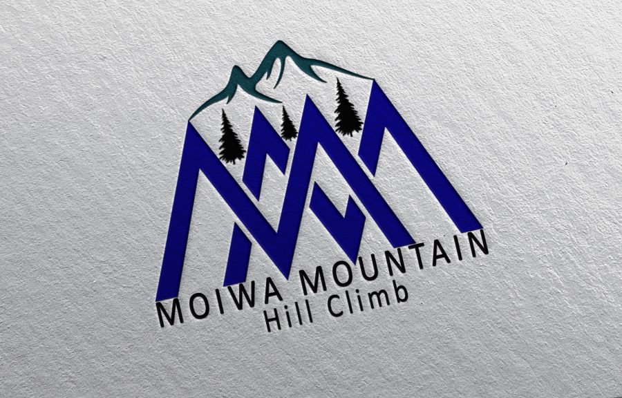 I will make a logo design within 24 hours