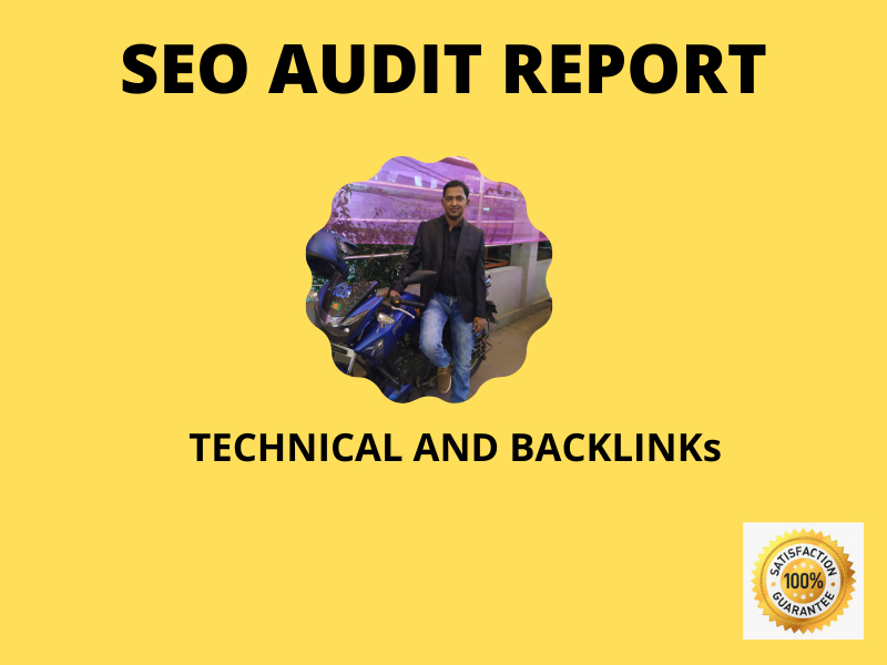 I will provide website audit reports 