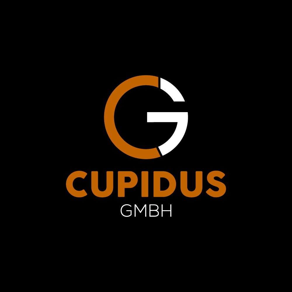 I will create Brand identity Logo design 
