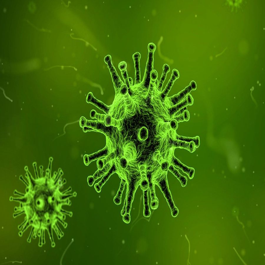 I will Give you 1000 PLR Articles on "Disease_Illness"