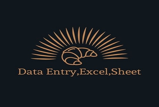 I'll Do Data entry at any platform 