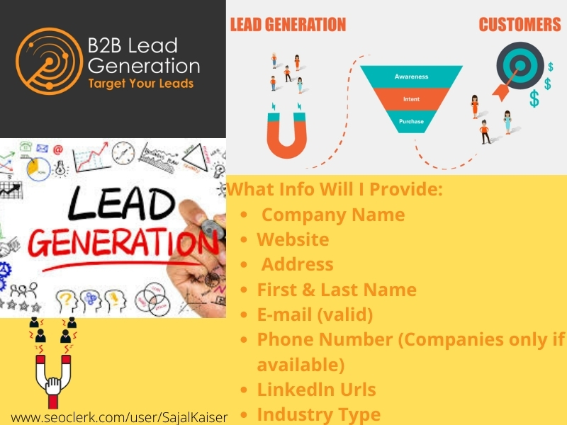  I will provide 200 B2b lead generation and targeted email list