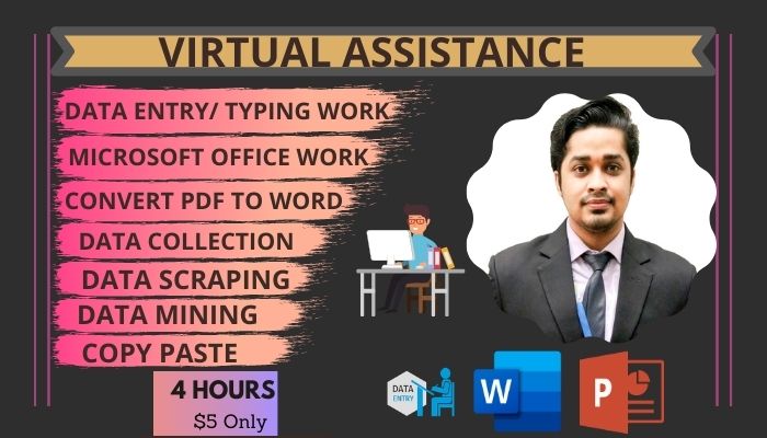 I will be your virtual assistant for data entry, data mining