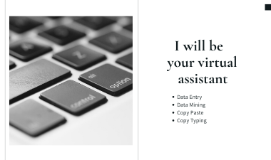 I will do data entry, copy paste, web research, data mining