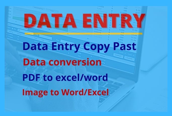  I will provide Data entry, Data converting