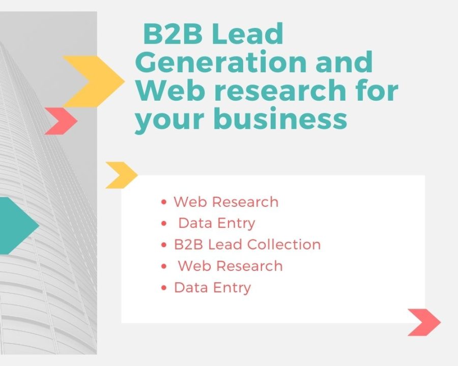 I will give you b2b lead generation and web research for your business