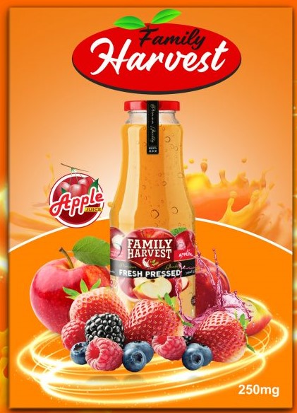 I will design an awesome Flyer, Brochure, Covers and Business Brochure designs