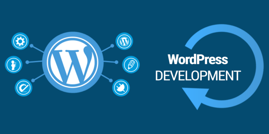 I will customization full wordpress webside plugin and theme