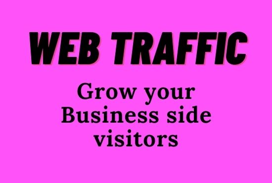 I will drive safe real organic visitors & organic web traffic