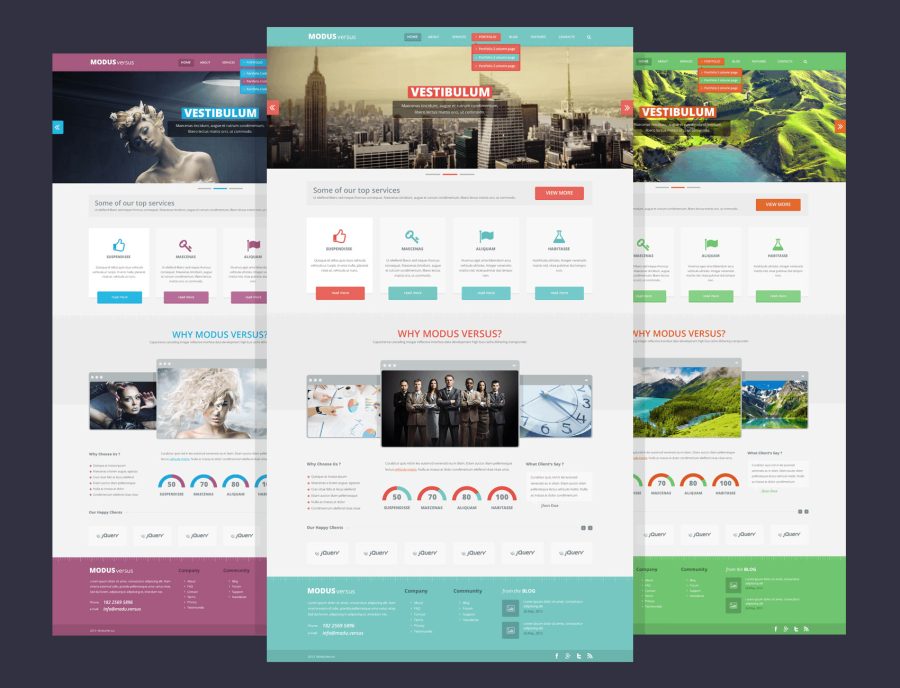 Design A SEO Optimize Professional And Responsive WordPress Website