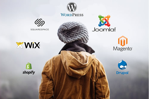 I will fix or Design Wordpress, Wix, Shopify Website for you