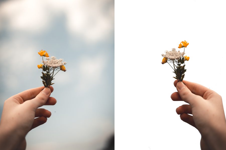 I will do photo background remove and any photo editing