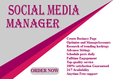 I Will be Your Social Media Manager Professionally 