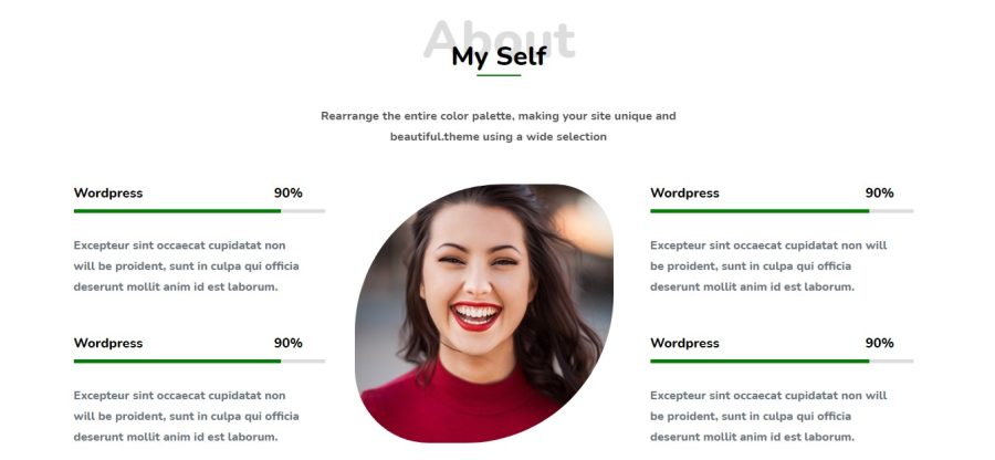 I will convert PSD to responsive Wordpress website 