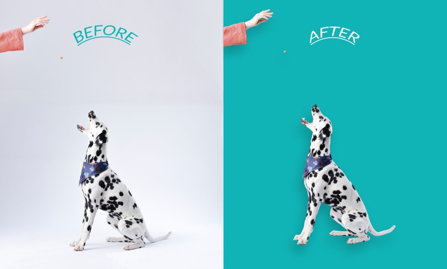 I will remove 15 photos background and cut out images professionally
