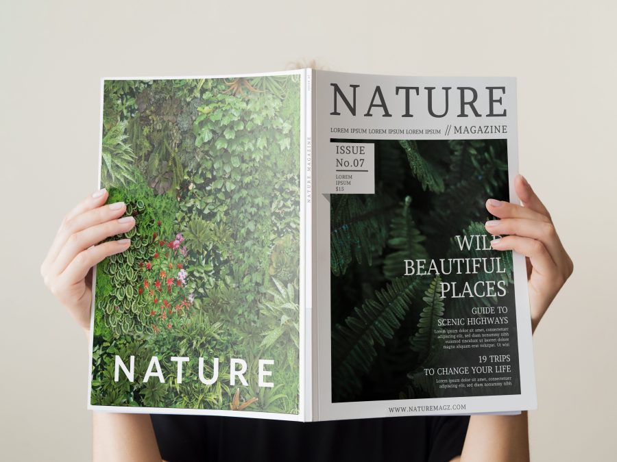 I will design brochure, magazine, catalog for your company