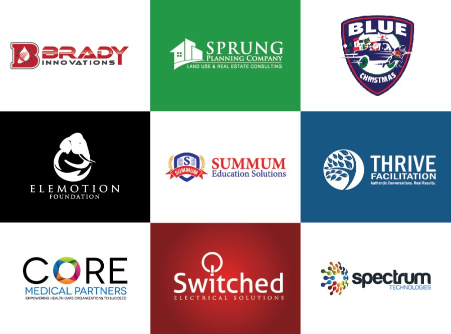 I will design 2 professional logo with unlimited revision