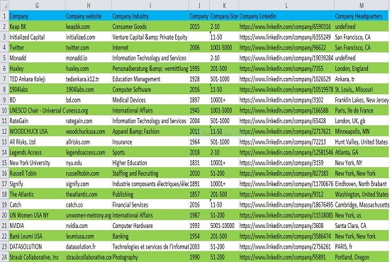 I will do 100 B2B Lead Generation with valid emails.
