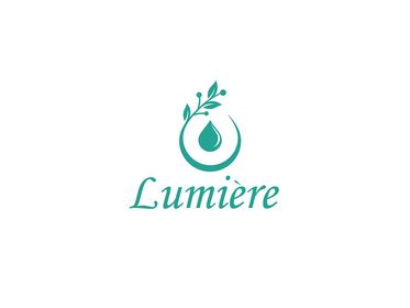 I will design you a modern and minimalist logo in 24 hours