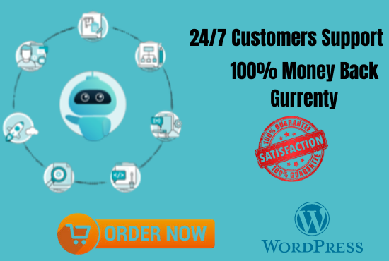 I will be your professional WordPress virtual assistant