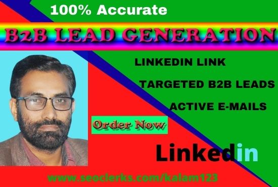 I will promote B2b lead generation and web research