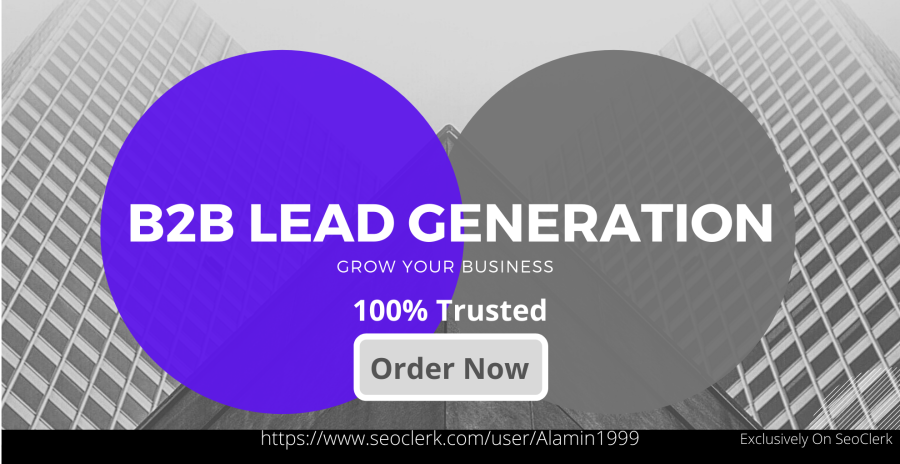  I will do B2B Lead Generation and data entry processing