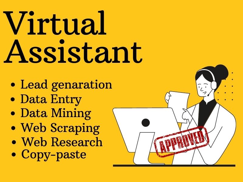 I will be your personal professional VIRTUAL ASSISTANT