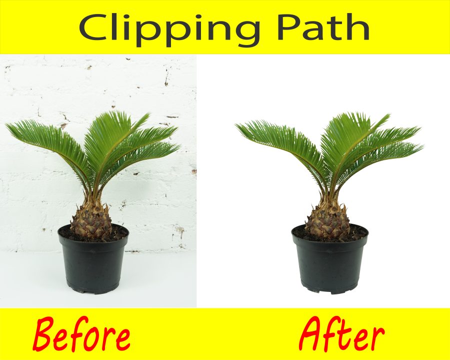 I will background removal photo editing