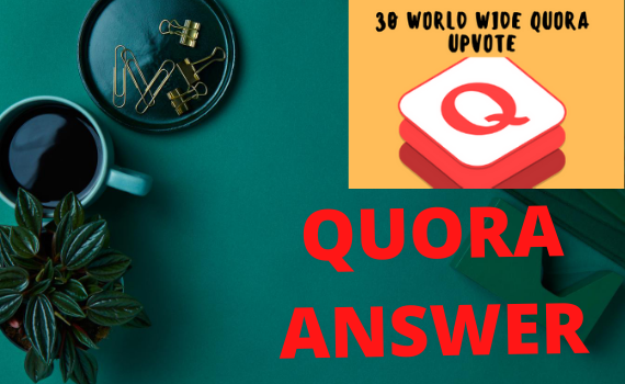 Guranteed targeted Traffic with 30 Quora answers.