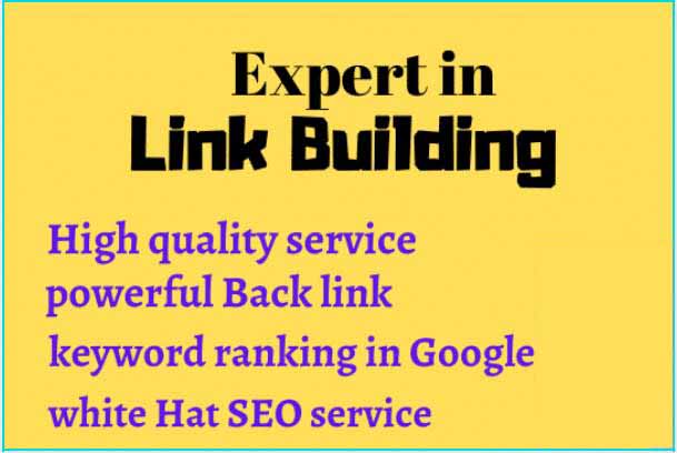 I will do powerful quality back link, link building manually