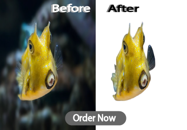 I will professionally remove from 10 background image