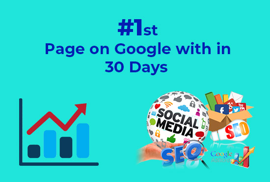I Will provide Guaranteed Google 1st page ranking SEO service