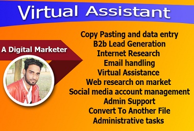 I will be your expert and professional virtual assistant