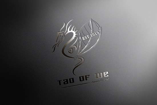 I will craft a professional modern, clean, minimalist business logo