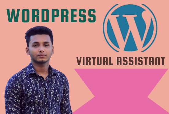 I will be your virtual assistant, helper or consultant