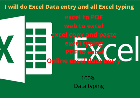 I will do Excel Data entry and all Excel typing 