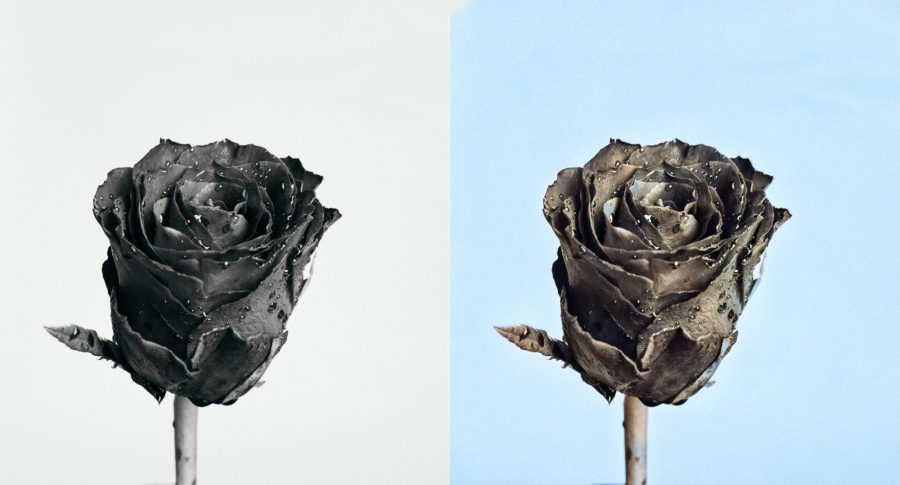 I Will Colourized and restore your Black & White Photos