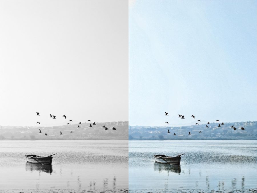 I Will Colourized and restore your Black & White Photos