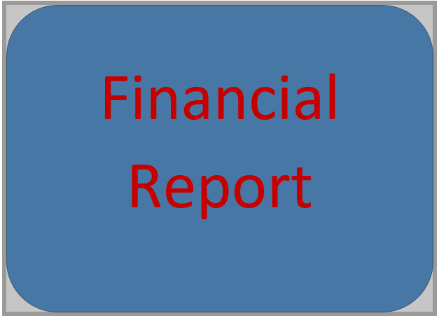 I will offer financial analysis, project report, company analysis